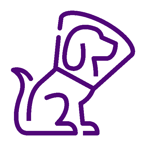 dog surgery icon