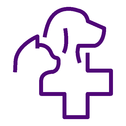 pet medical icon