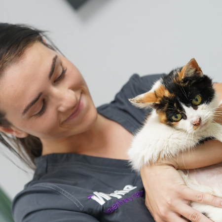 Wylie Veterinary centre staff