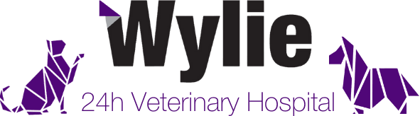 Wylie 24h Veterinary hospital