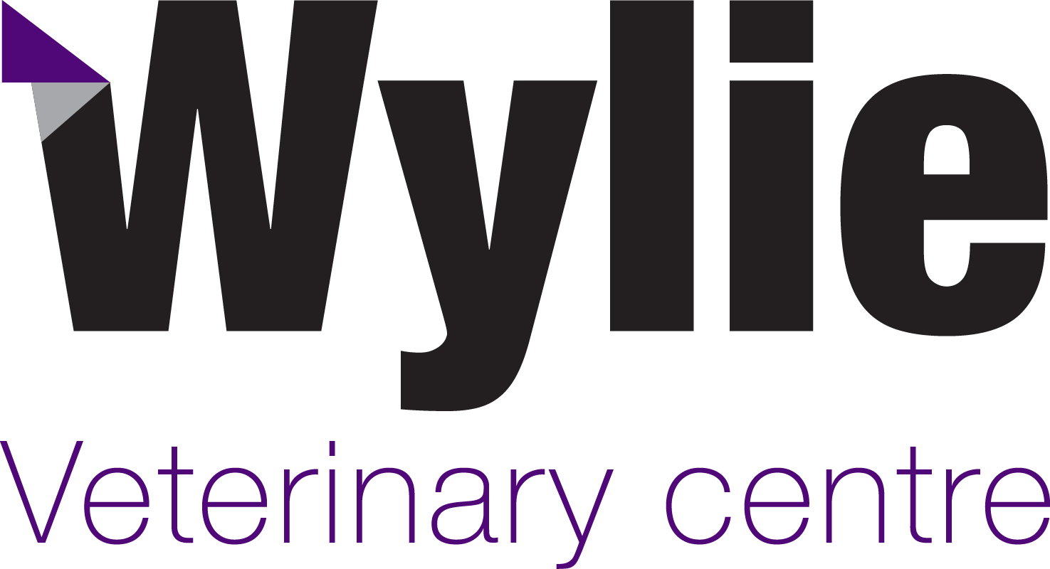 Wylie updated logo
