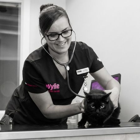 A veterinarian wearing glasses and a dark uniform uses a stethoscope to examine a black cat on an examination table.