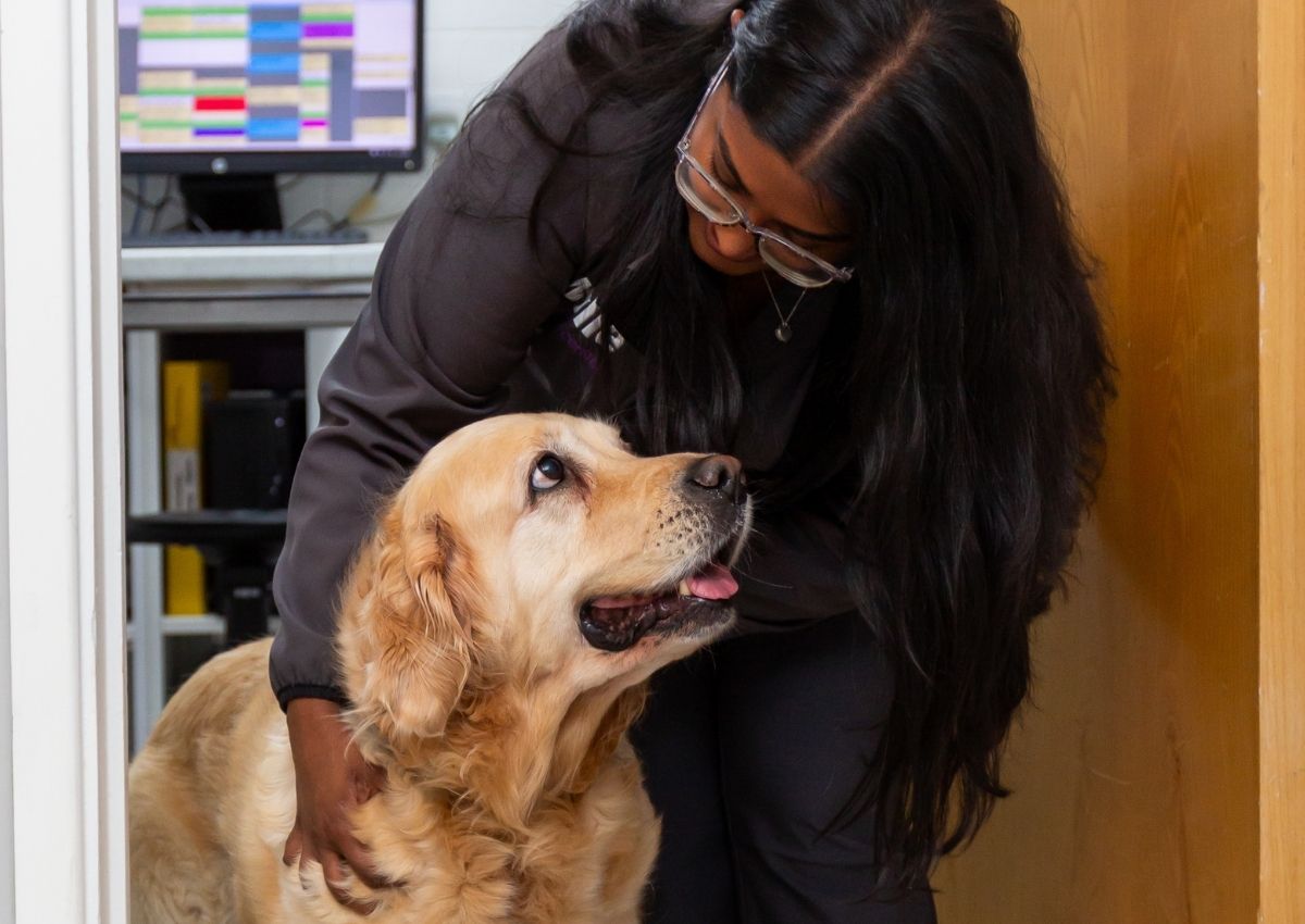 A dog sitting on the floor next to a dog bed